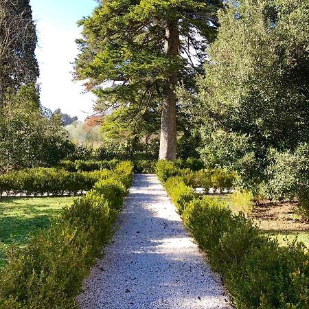 Villa Sant'Anastasio Suites Volterra Exterior photo